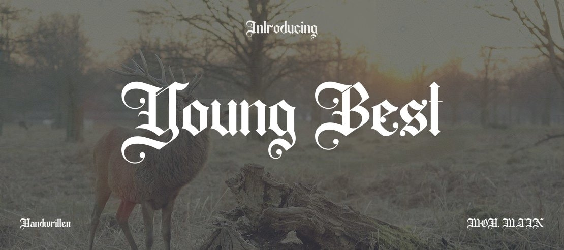 Young Best Font