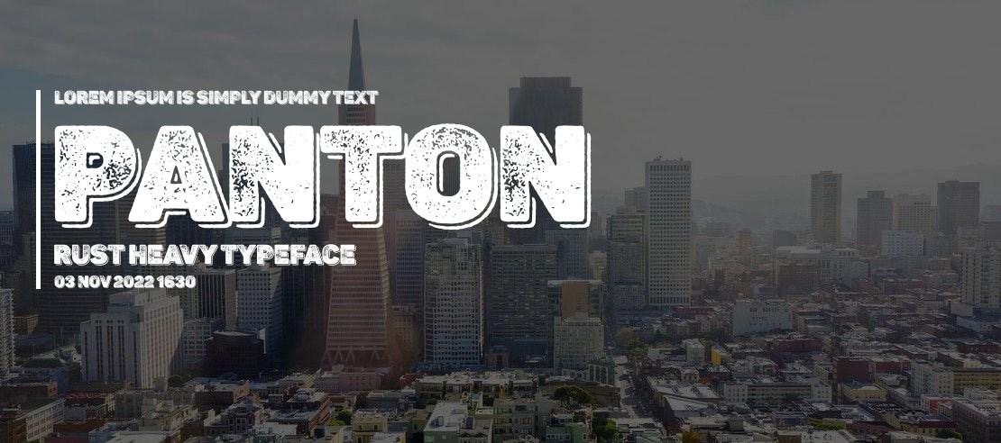 Panton Rust Heavy Font Family