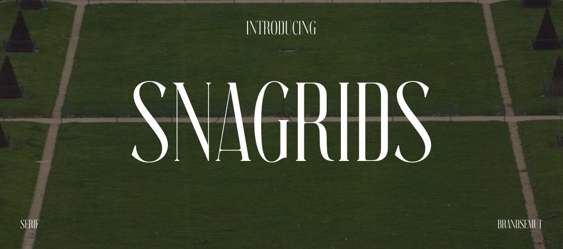 Snagrids Font