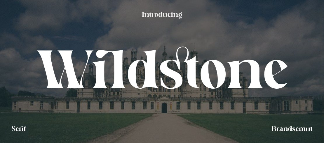 Wildstone Font