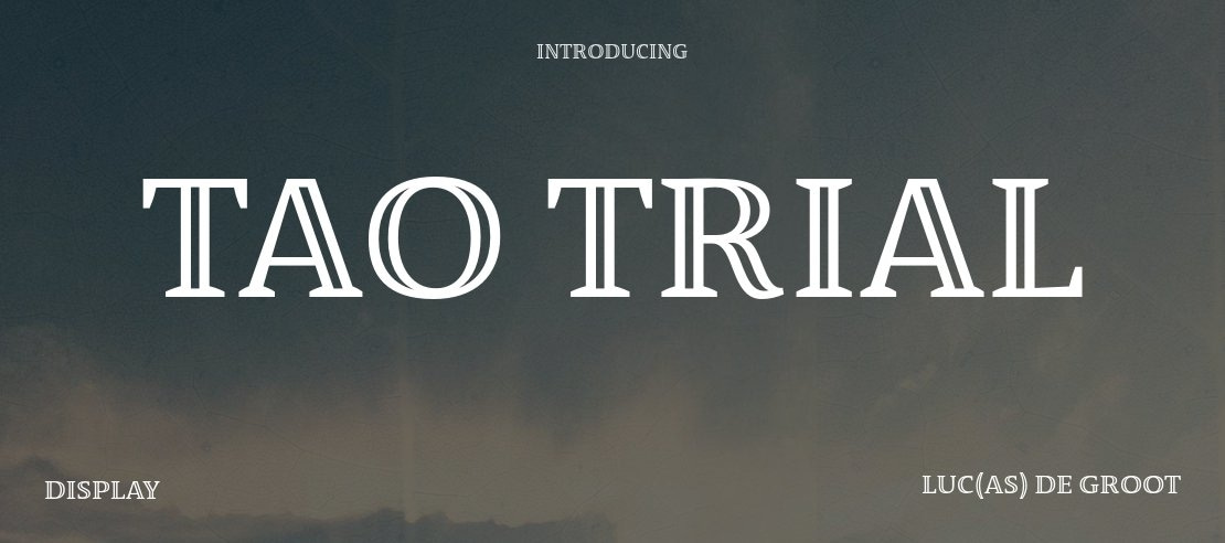 Tao Trial Font Family