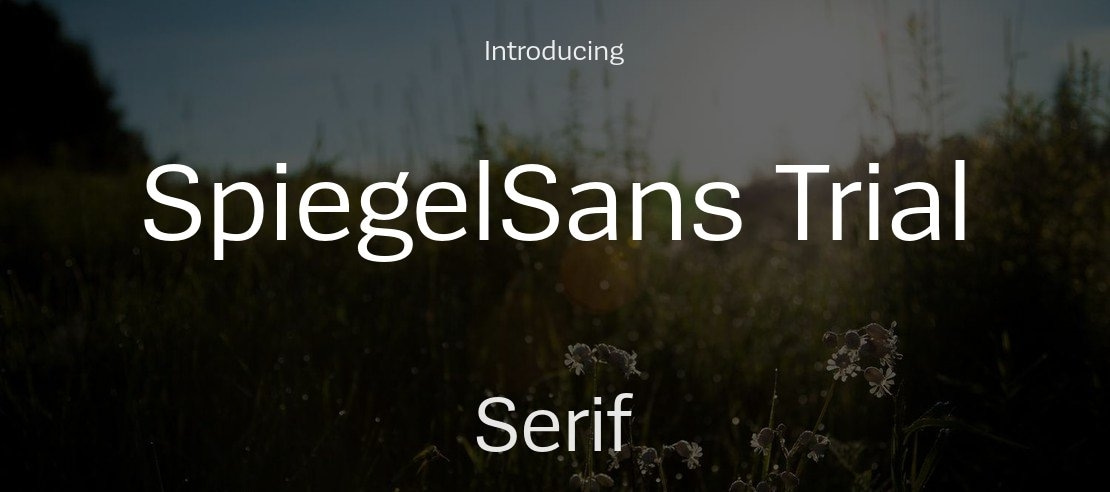 SpiegelSans Trial Font Family