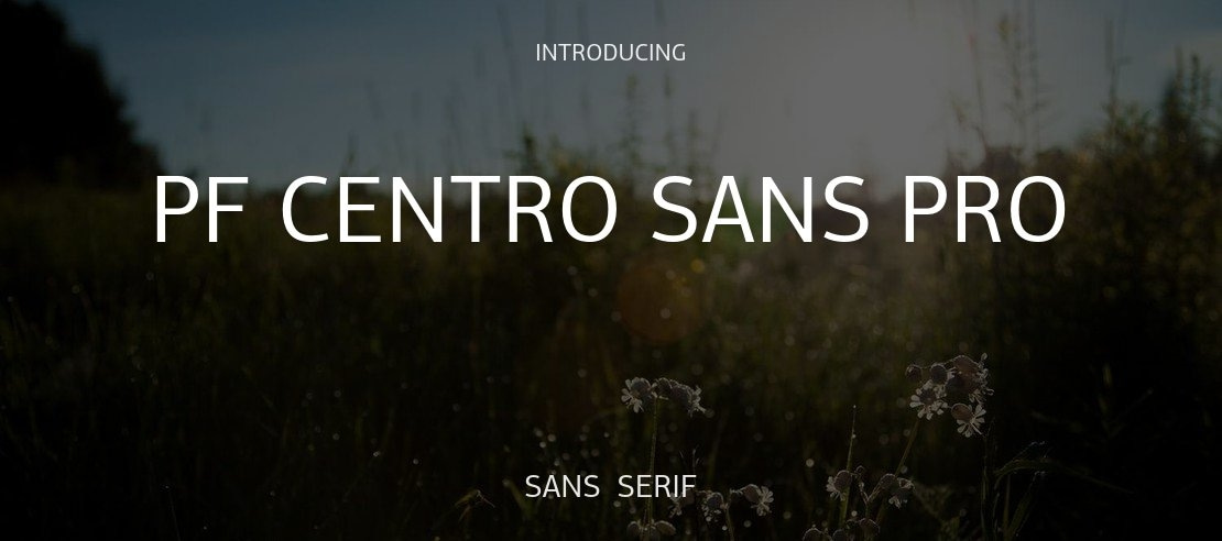 PF Centro Sans Pro Font Family