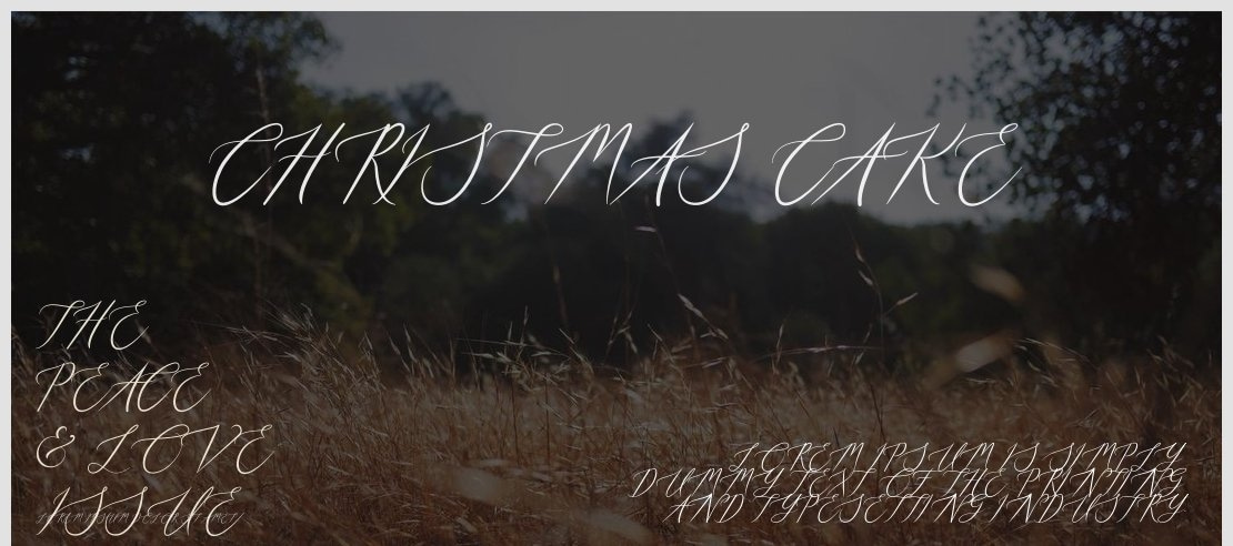 Christmas Cake Font