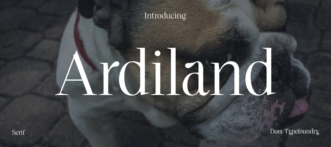 Ardiland Font