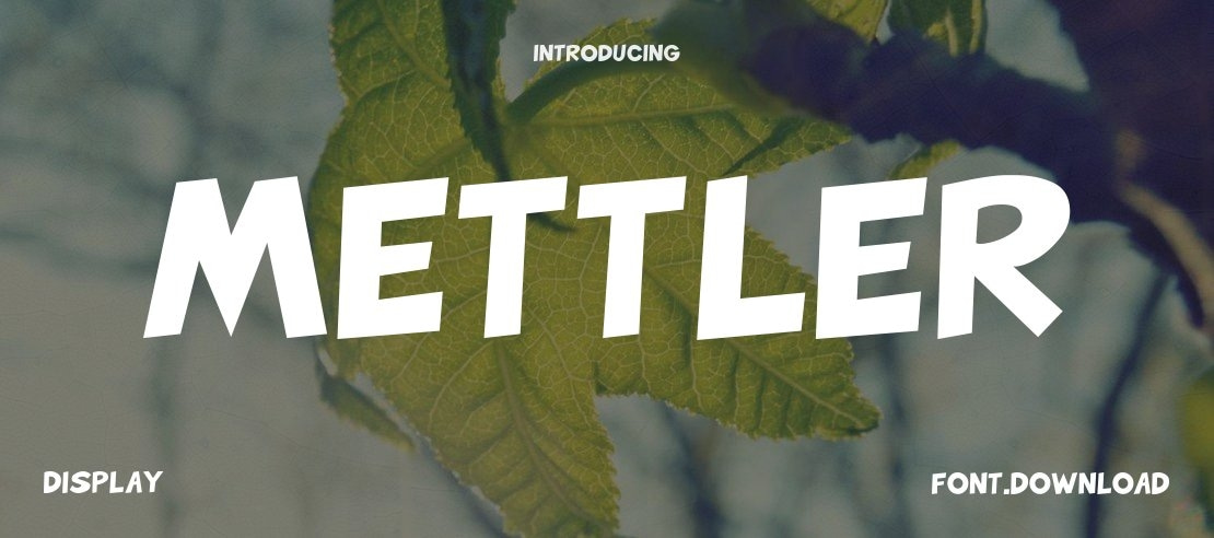 Mettler Font