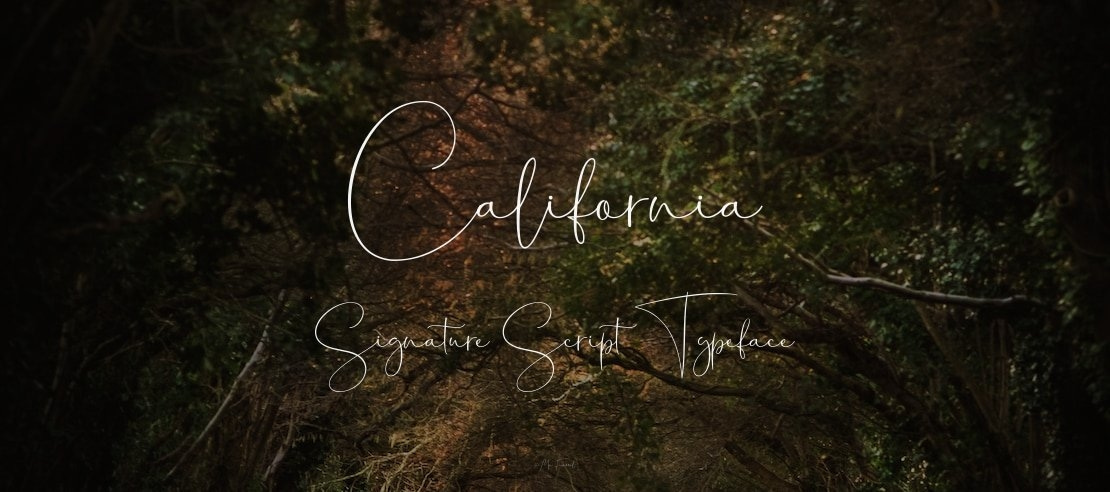 California Signature Script Font Family