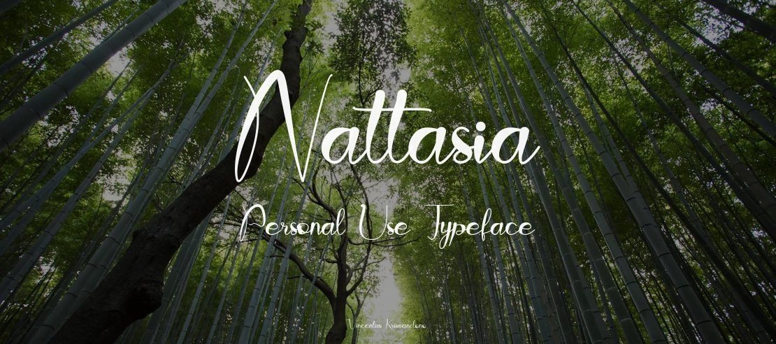 Nattasia - Personal Use Font