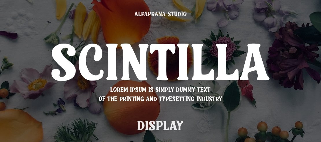 Scintilla Font