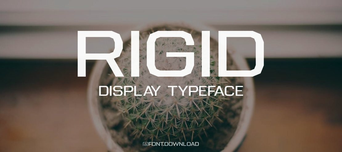 Rigid Display Font Family