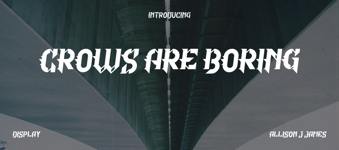Crows Are Boring Font Family