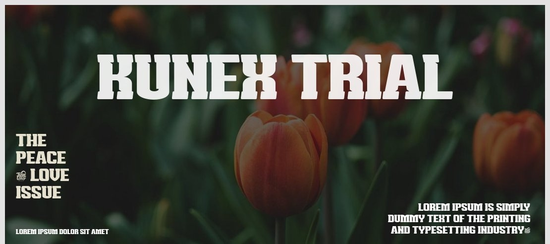 KUNEX trial Font Family