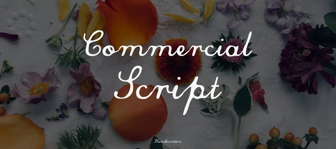 Commercial Script Font