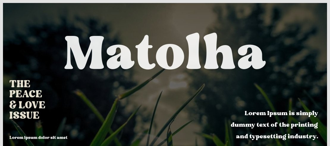 Matolha Font