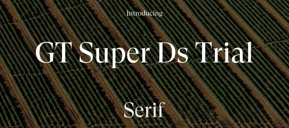 GT Super Ds Trial Font Family