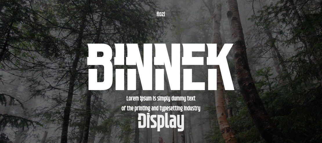 BINNEK Font Family