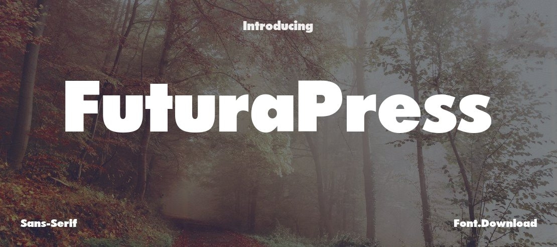 FuturaPress Font