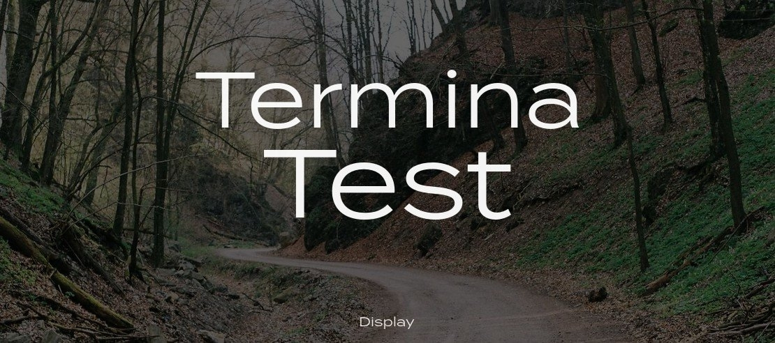 Termina Test Font Family