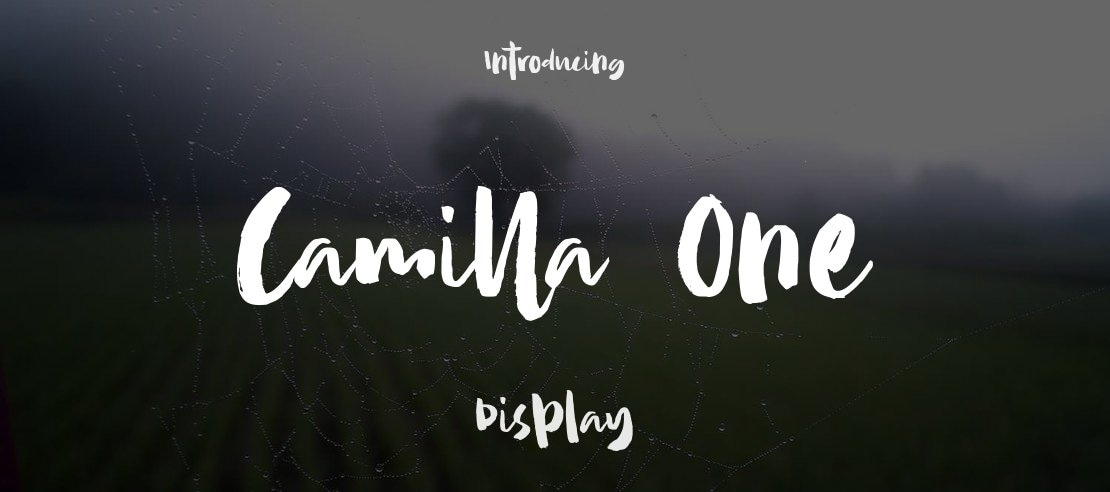 Camilla One Font