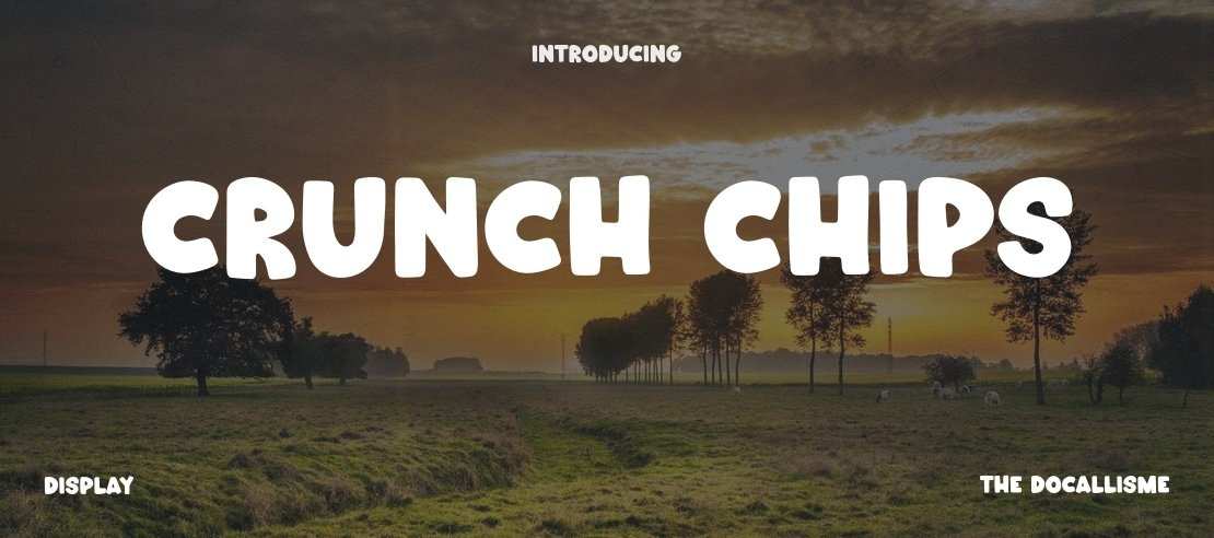 Crunch Chips Font Family