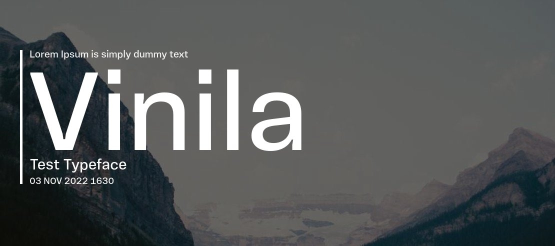 Vinila Test Font Family