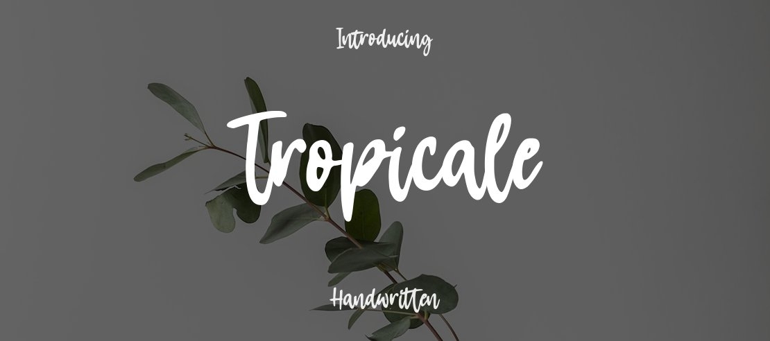Tropicale Font