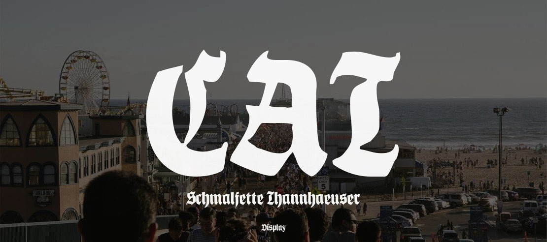 CAT Schmalfette Thannhaeuser Font