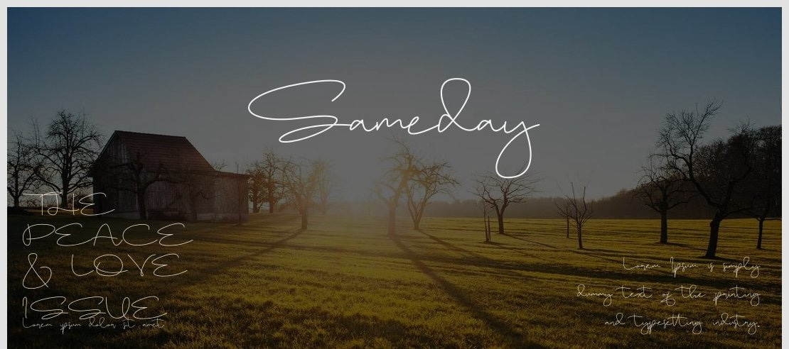 Sameday Font