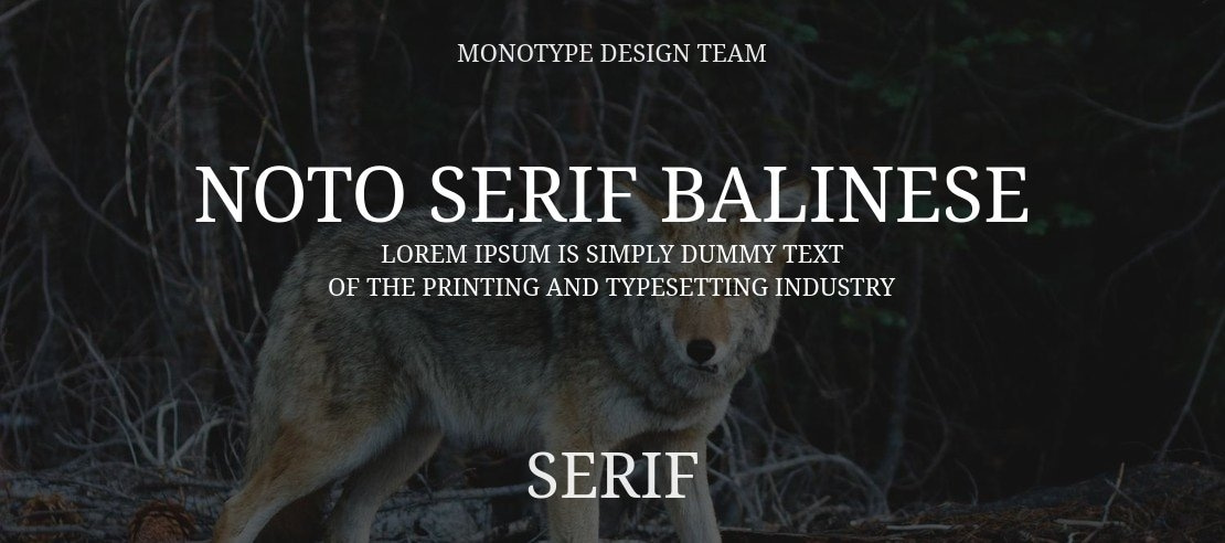 Noto Serif Balinese Font