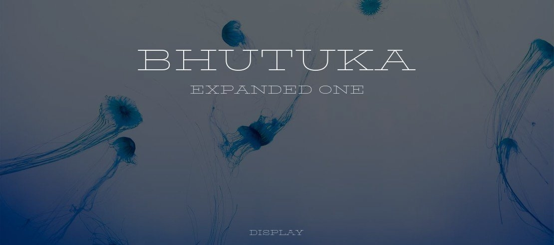 BhuTuka Expanded One Font