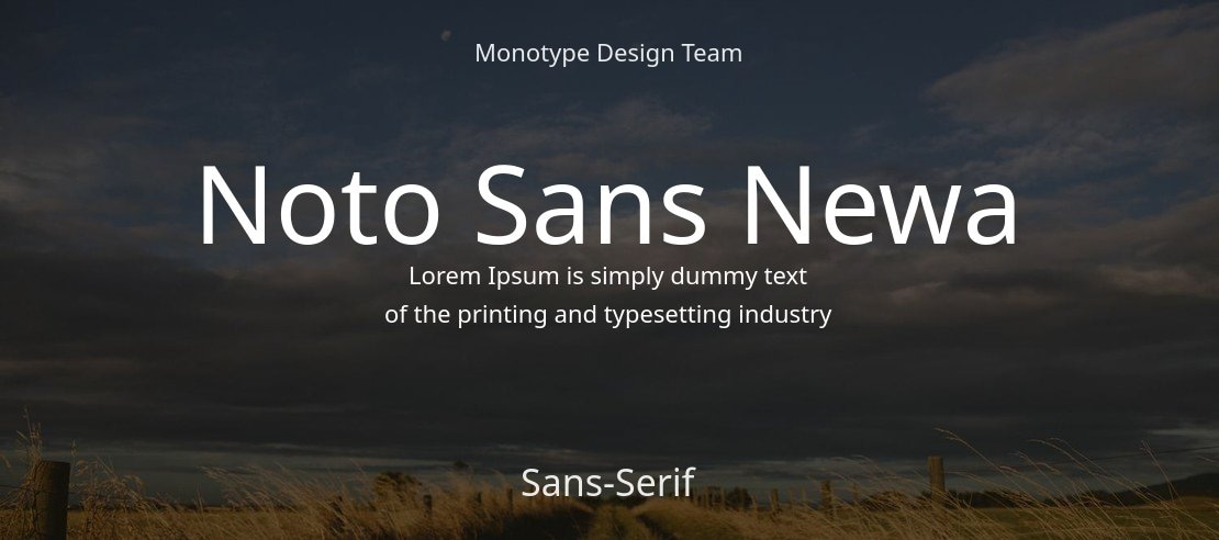 Noto Sans Newa Font