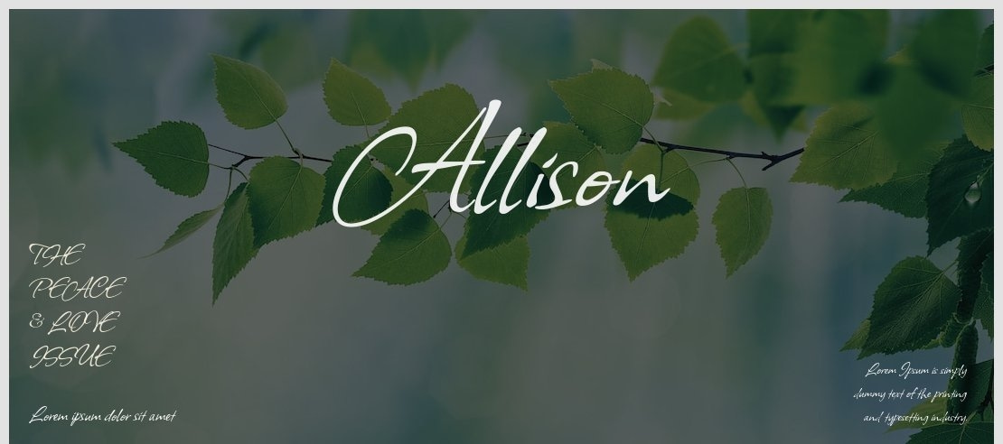 Allison Font