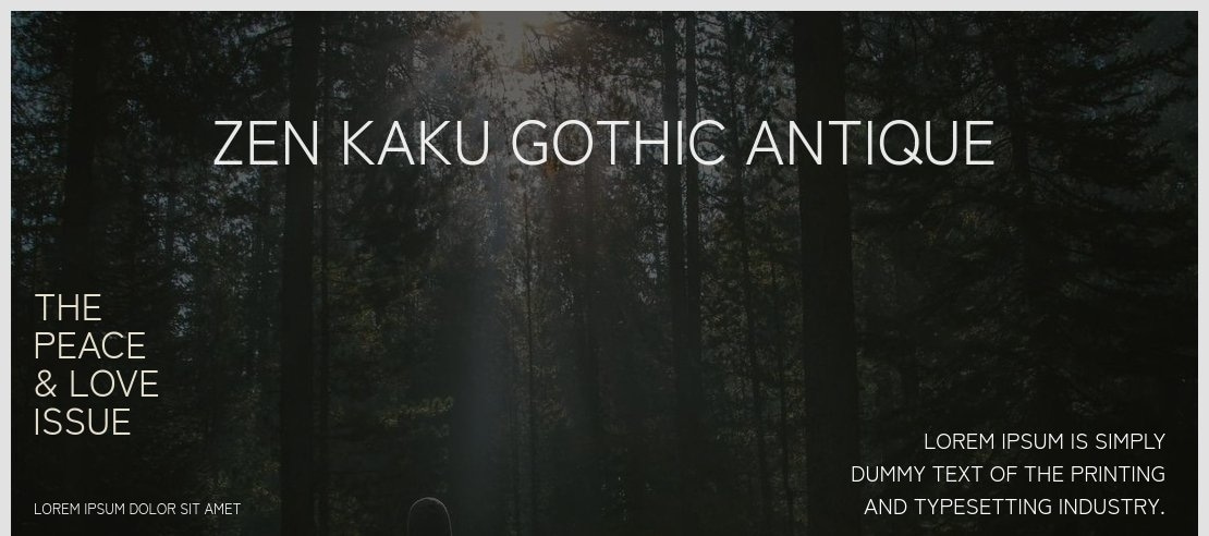 Zen Kaku Gothic Antique Font Family