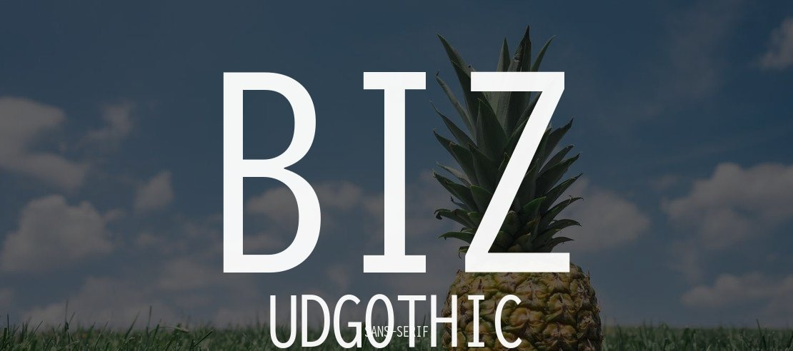 BIZ UDGothic Font Family