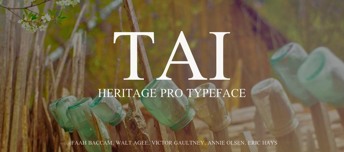 Tai Heritage Pro Font Family