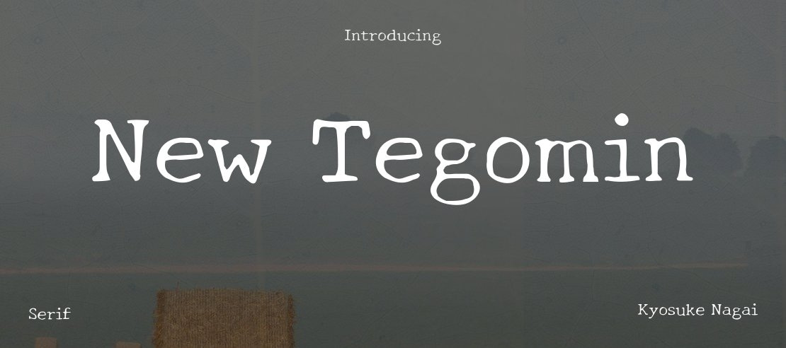 New Tegomin Font