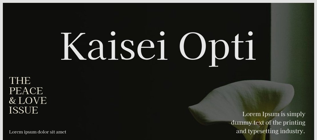 Kaisei Opti Font Family