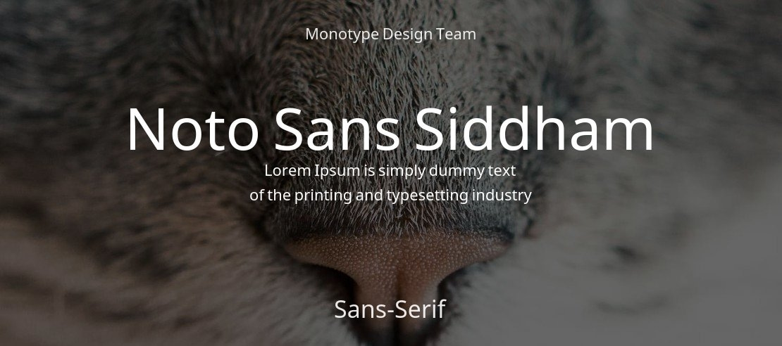 Noto Sans Siddham Font