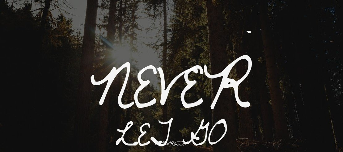 Never Let Go Font