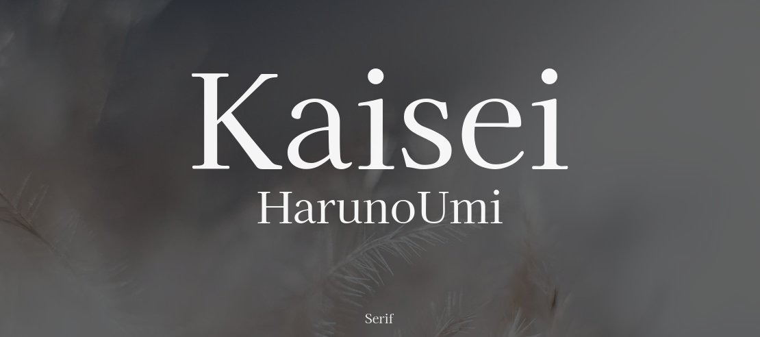 Kaisei HarunoUmi Font Family