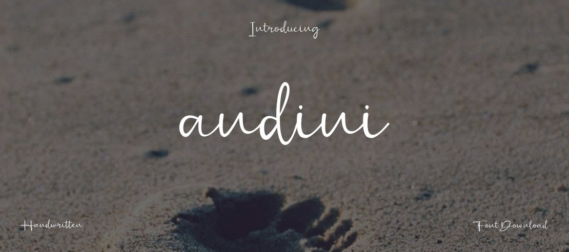 andini Font