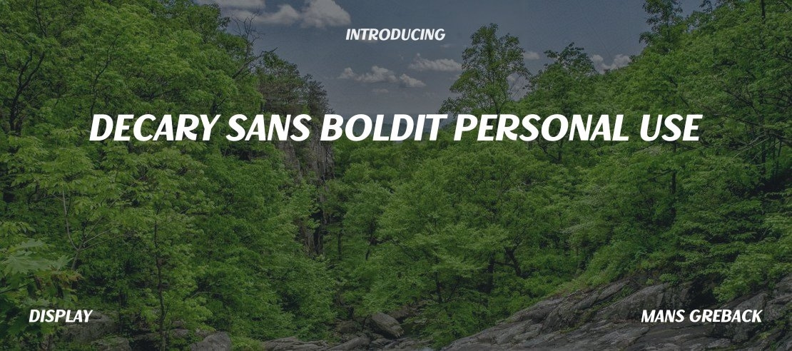 Decary Sans BoldIt PERSONAL USE Font Family