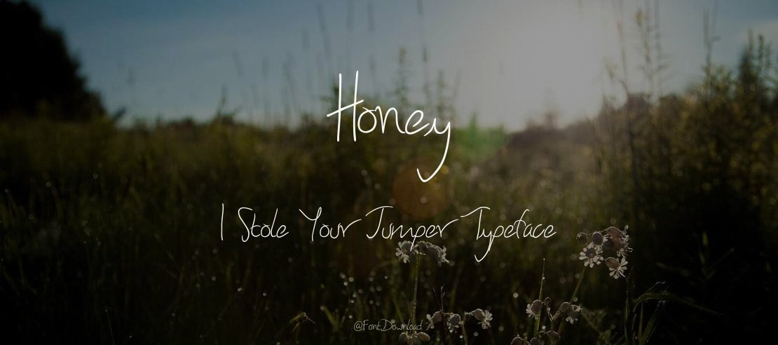 Honey I Stole Your Jumper Font