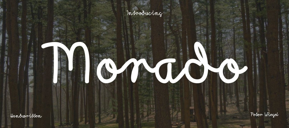 Morado Font Family