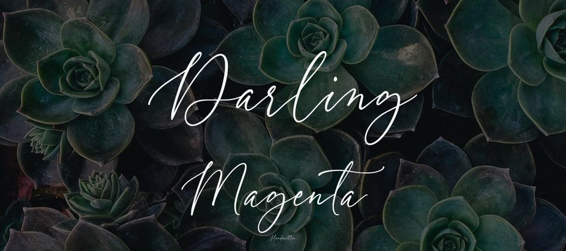 Darling Magenta Font