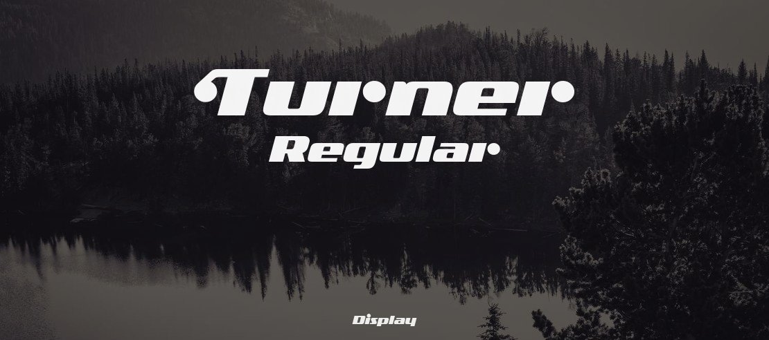 Turner Regular  Font