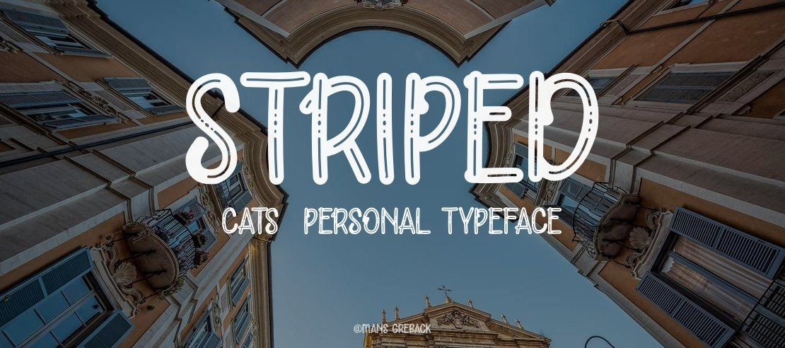 Striped Cats  PERSONAL Font Family