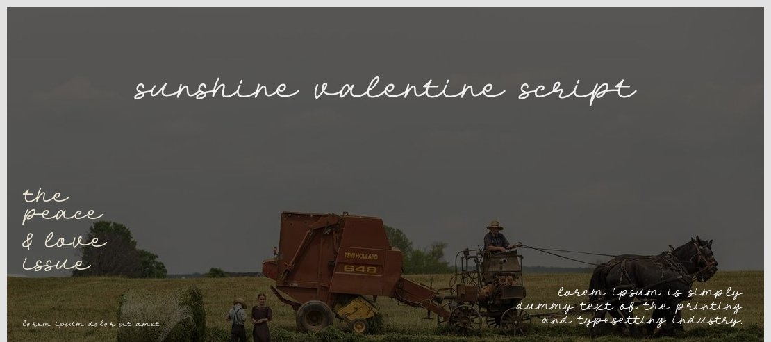 Sunshine Valentine Script Font