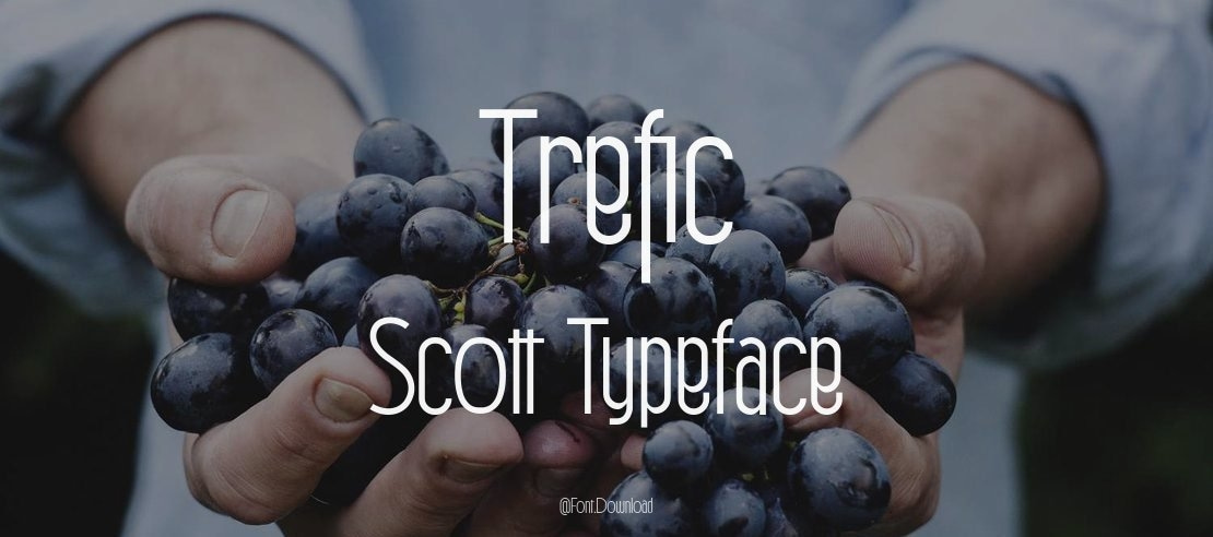 Trefic Scott Font