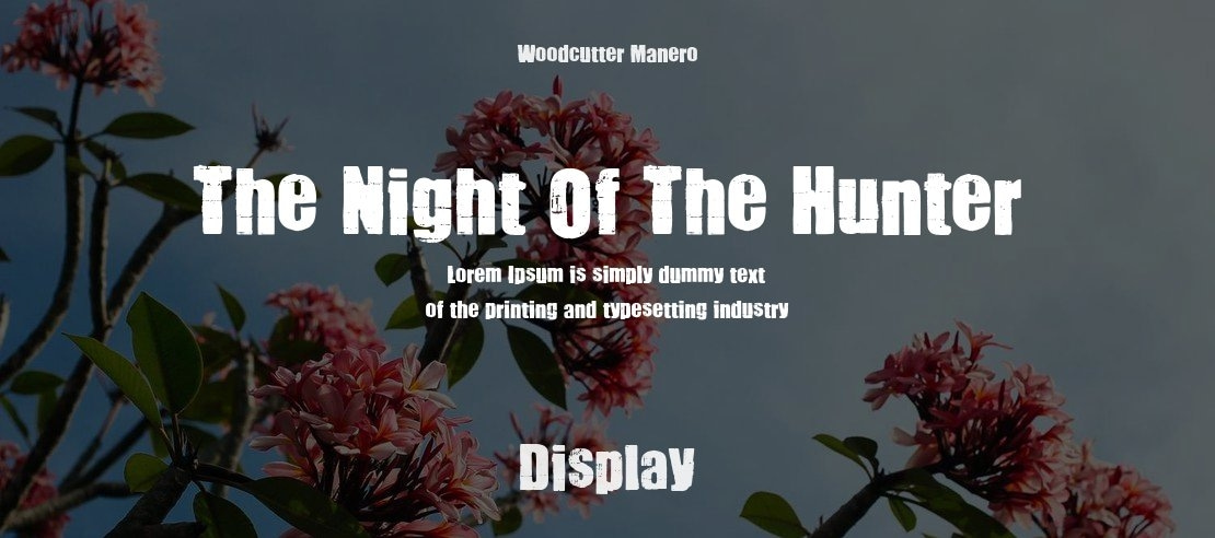 The Night Of The Hunter Font